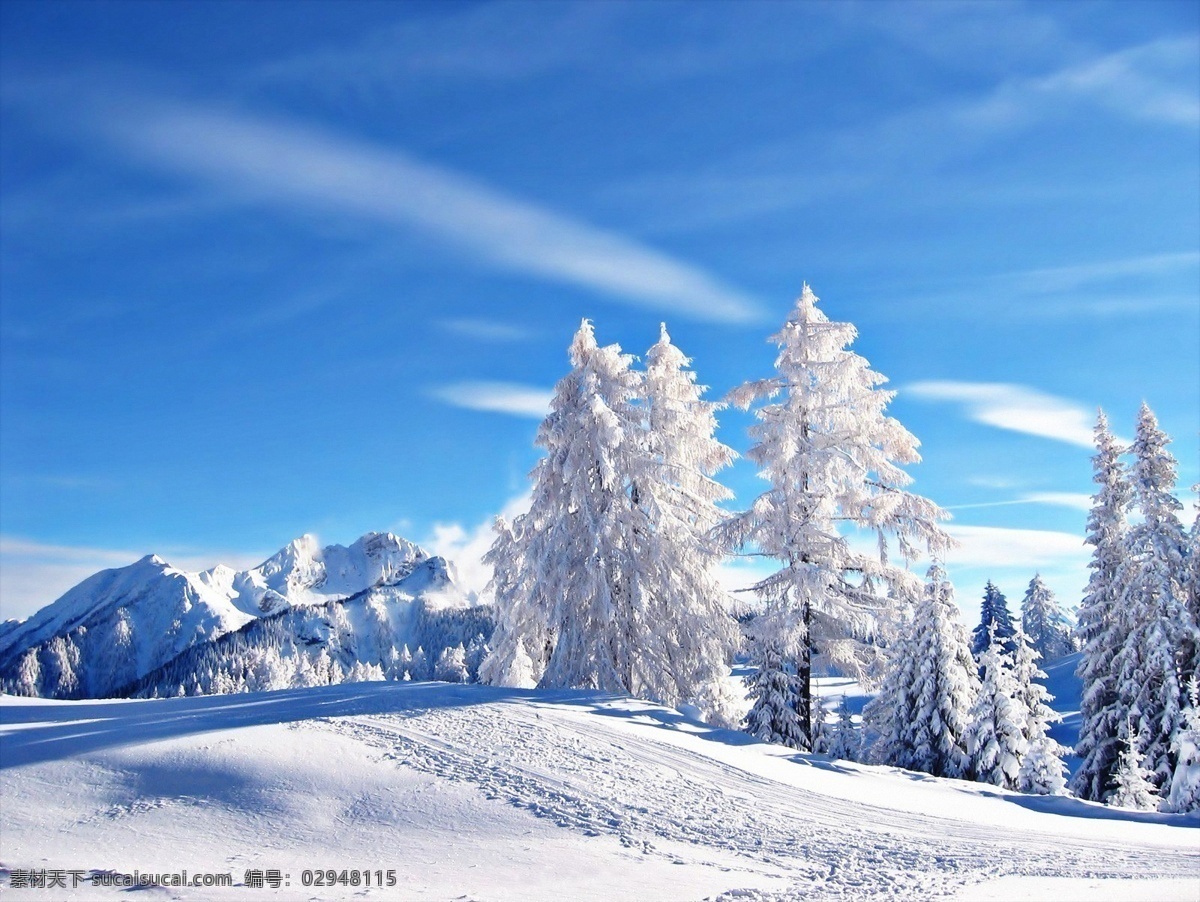 冬季雪景 自然风景 冬季 雪景 白雪 蓝天 美丽 自然景观