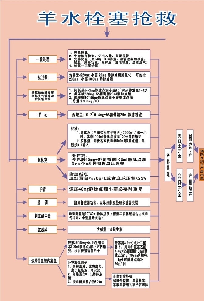 羊水栓塞抢救 妇产科 产房 处理 抗过敏 缓解 肺动脉 高压 支气管 痉挛 抗低氧血症 护心 抗休克 护肾 监测 纠正酸中毒 抗感染 弥漫性 血管 內 凝 血 医疗保健 生活百科 矢量