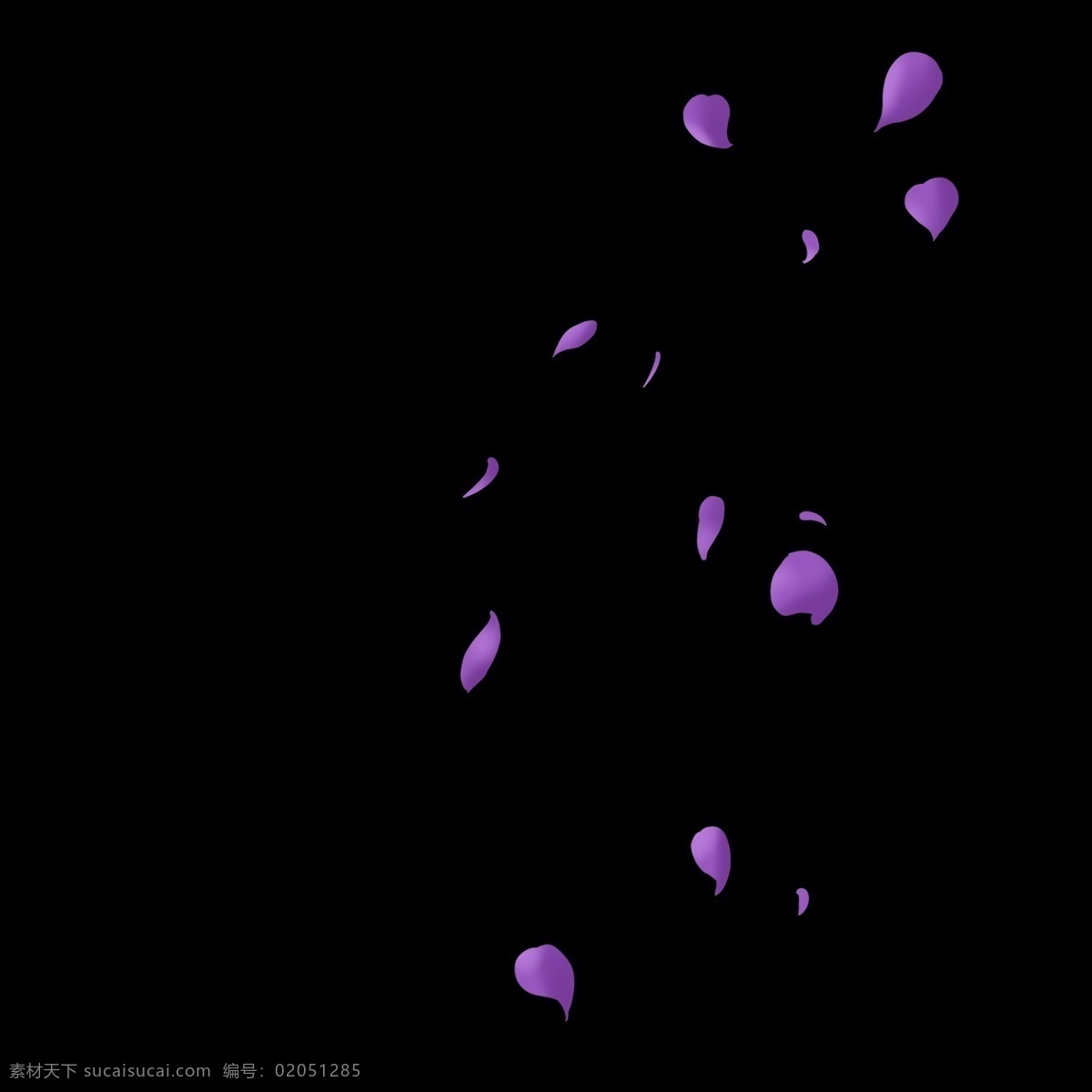 紫色 花瓣 漂浮 元素 落英缤纷 掉落 花朵 花卉 飘落 飞舞 插画 手绘 卡通 psd文件