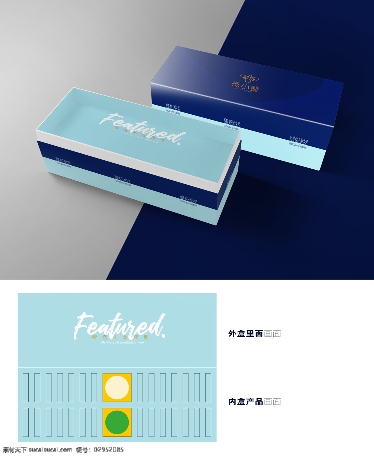 盒子样机 包装盒 礼品盒 礼盒 样机 贴图 效果图片 长方形 方形体 蓝色 包装 产品 包装设计