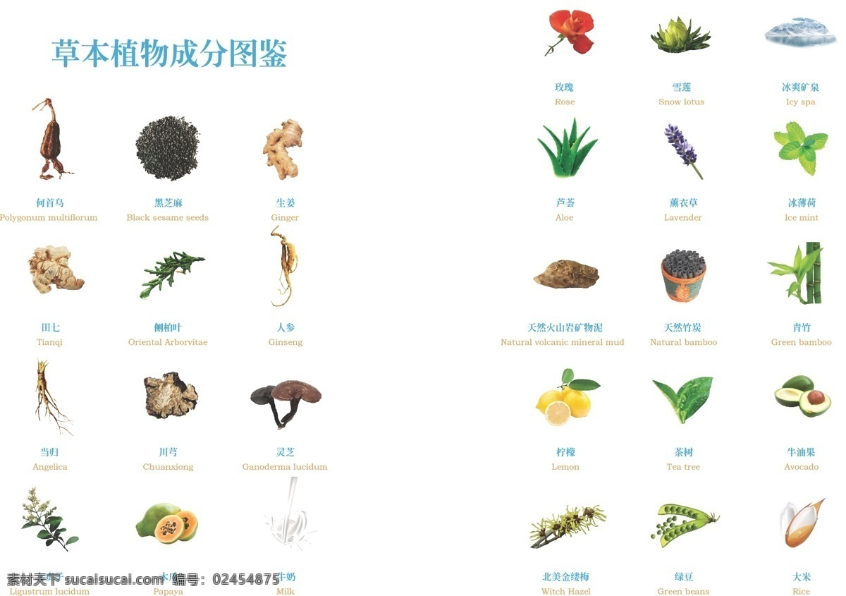 索 芙 特产品 手册 索芙特 产品 元素 植物 黑首乌 芝麻 生姜 人参 当归 大米 卢荟 红花 冰 柠檬 黑米 画册设计 白色