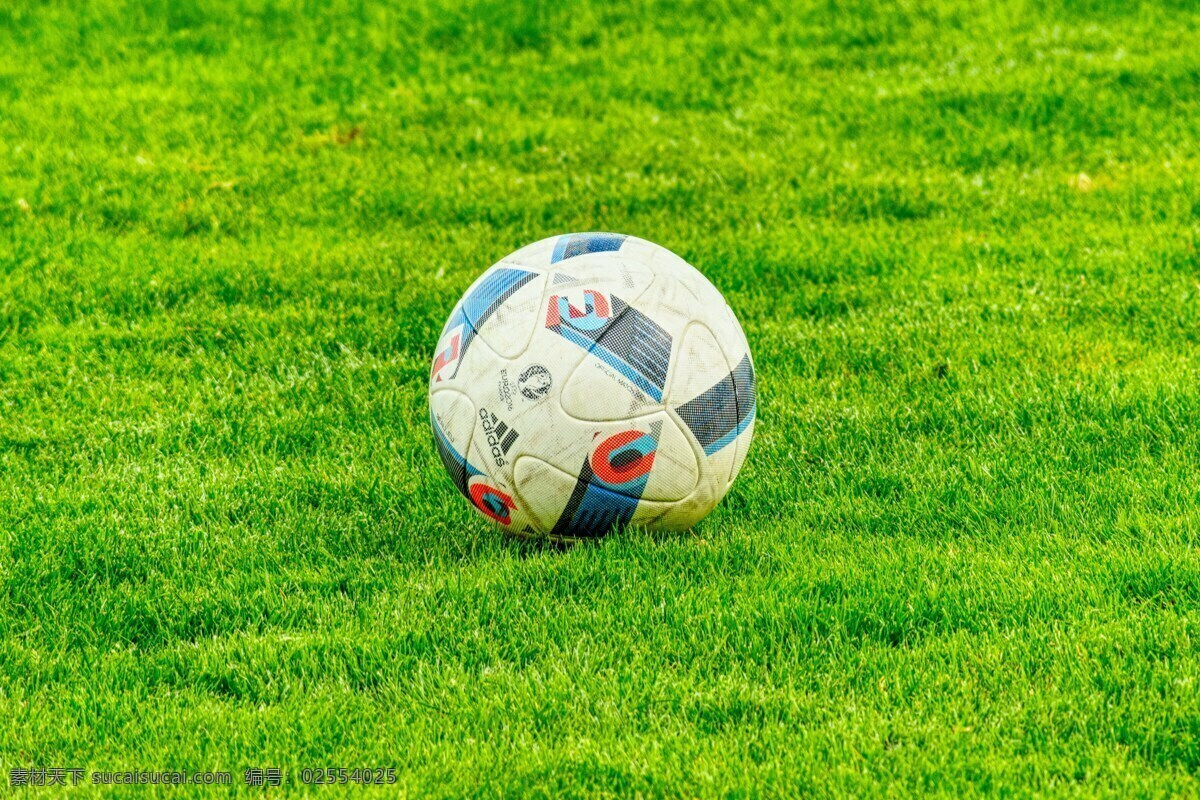 足球 球 运动 背景 球场 草坪 生活百科 体育用品