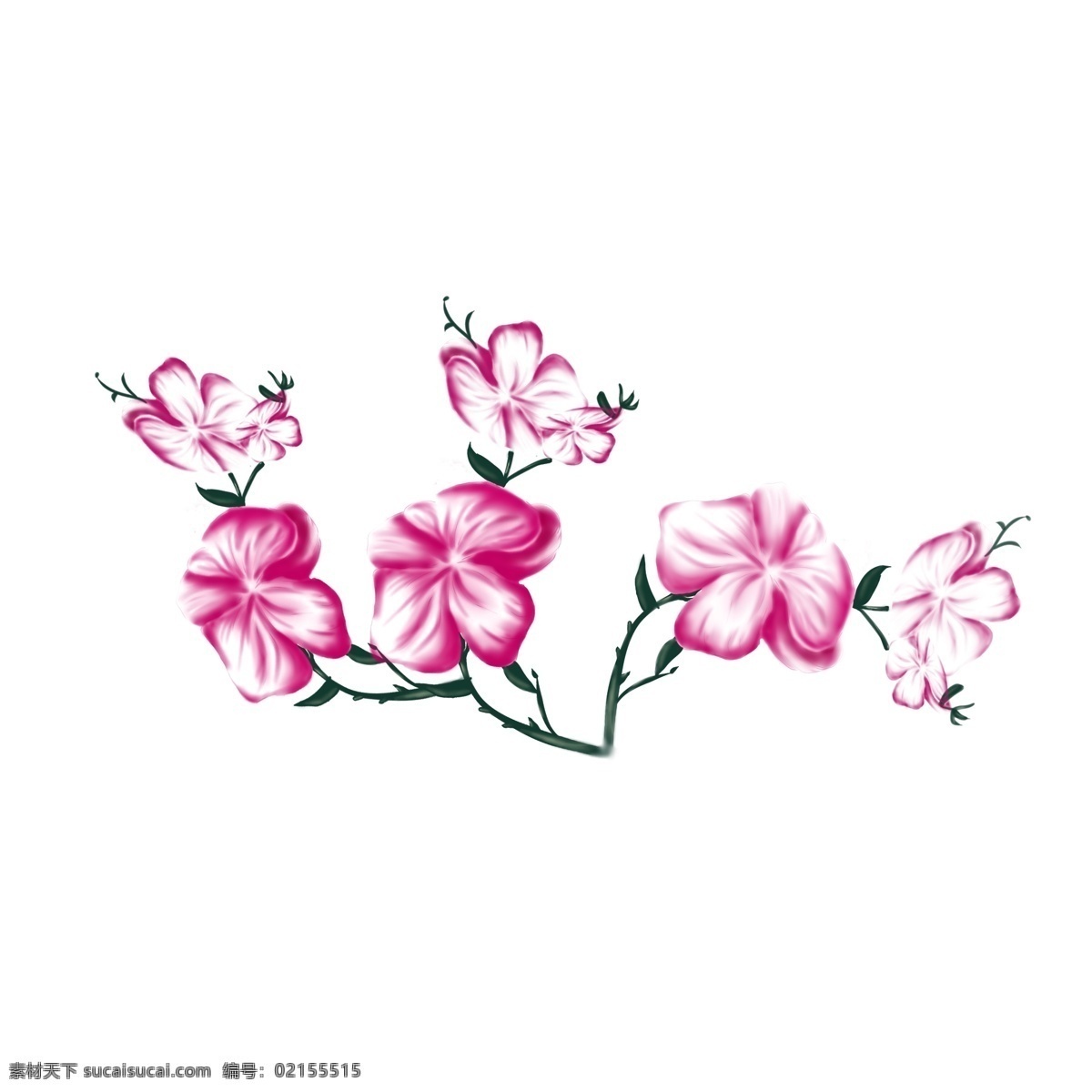 紫红色 手绘 蝴蝶兰 红色 小清新 植物 花朵 元素