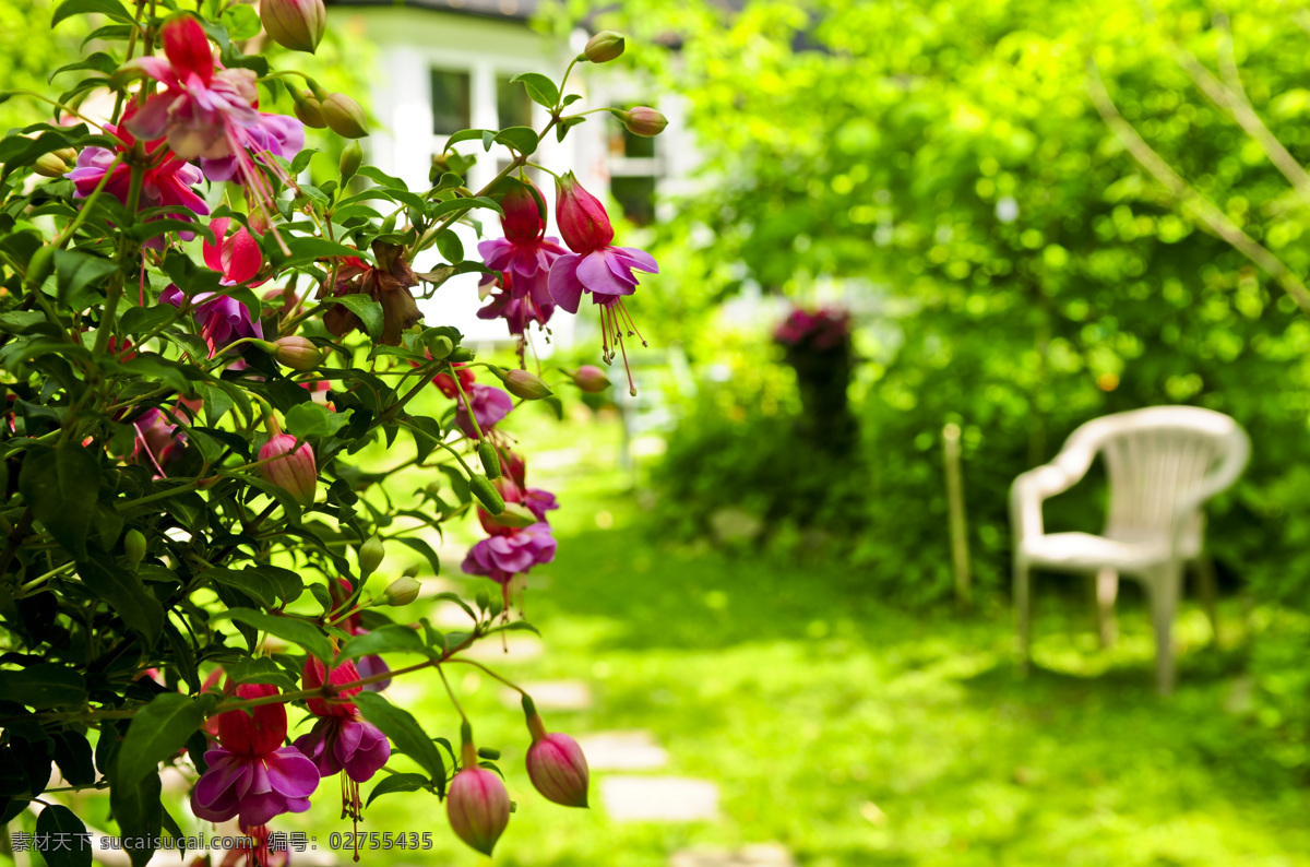 庭院 风景 庭院风景 院子 美丽风景 风景摄影 花园 鲜花 花朵 园林景观 环境家居
