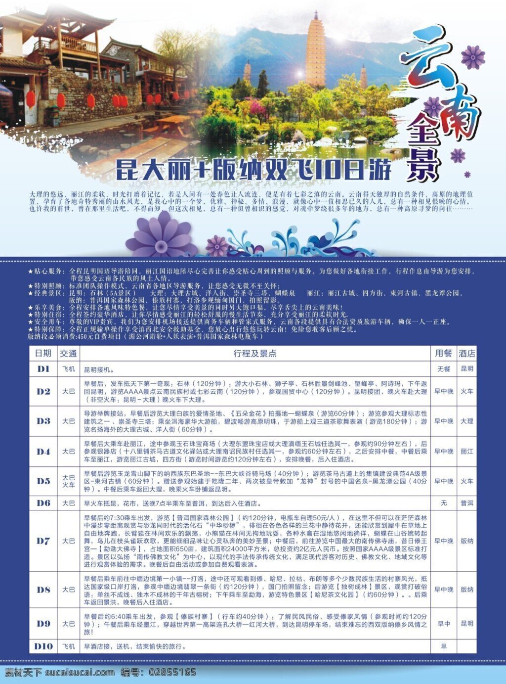 云南旅游 昆大丽 花纹 旅游广告 白色