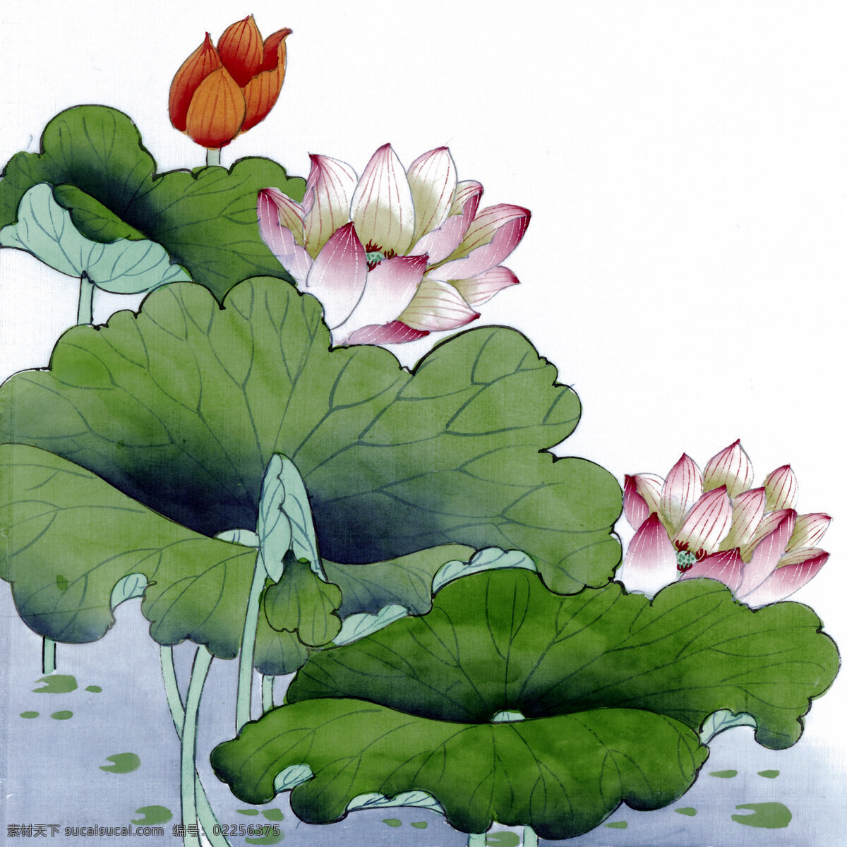 荷花 壁画 墙画 装饰画 家居装饰素材 山水风景画