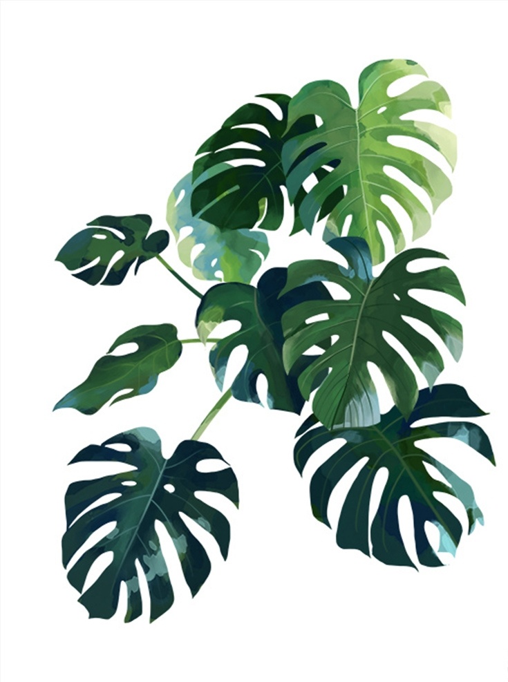 热带 植物 龟背 竹 小 清新 绿色 热带植物 龟背竹 小清新 背景 绿色植物 简约 水彩 绘画 花瓣 色彩 画画 彩画 ps素材 底纹边框 其他素材
