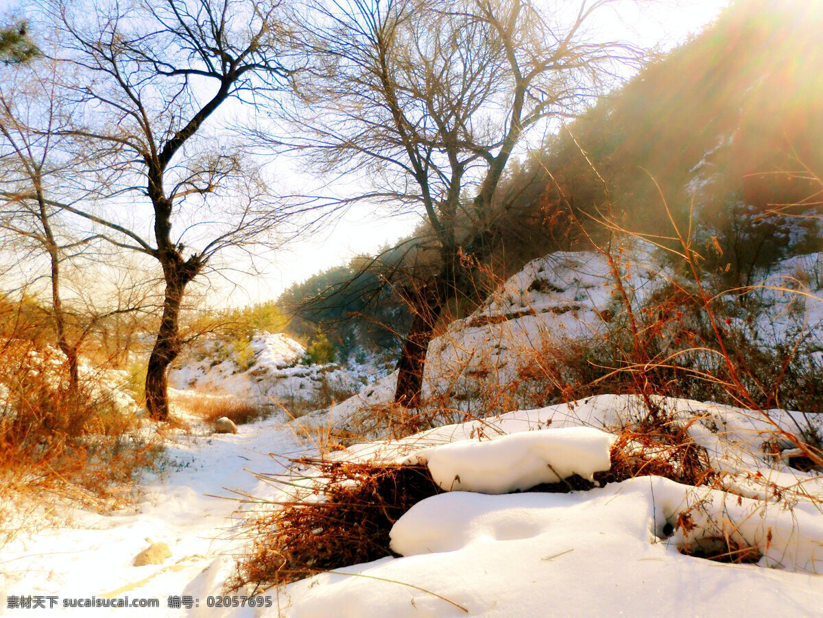 冬雪 风景 冬天 雪景 唯美 童话 自然风景 自然景观 白色