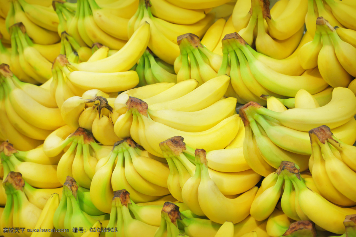 水果 生香蕉 水果果实 鲜果蔬果 创意香蕉 切片香蕉 香蕉片 奶蕉 香蕉促销 超市水果促销 超市促销海报 水果促销海报 香蕉促销海报 蔬菜瓜果 生物世界