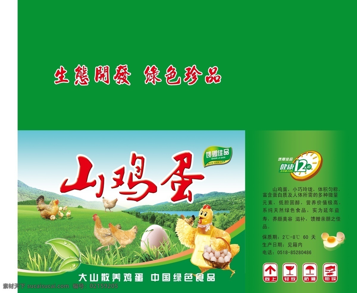 山鸡蛋彩箱 纸箱 包装 鸡蛋 土特产 绿色 包装设计 广告设计模板 源文件