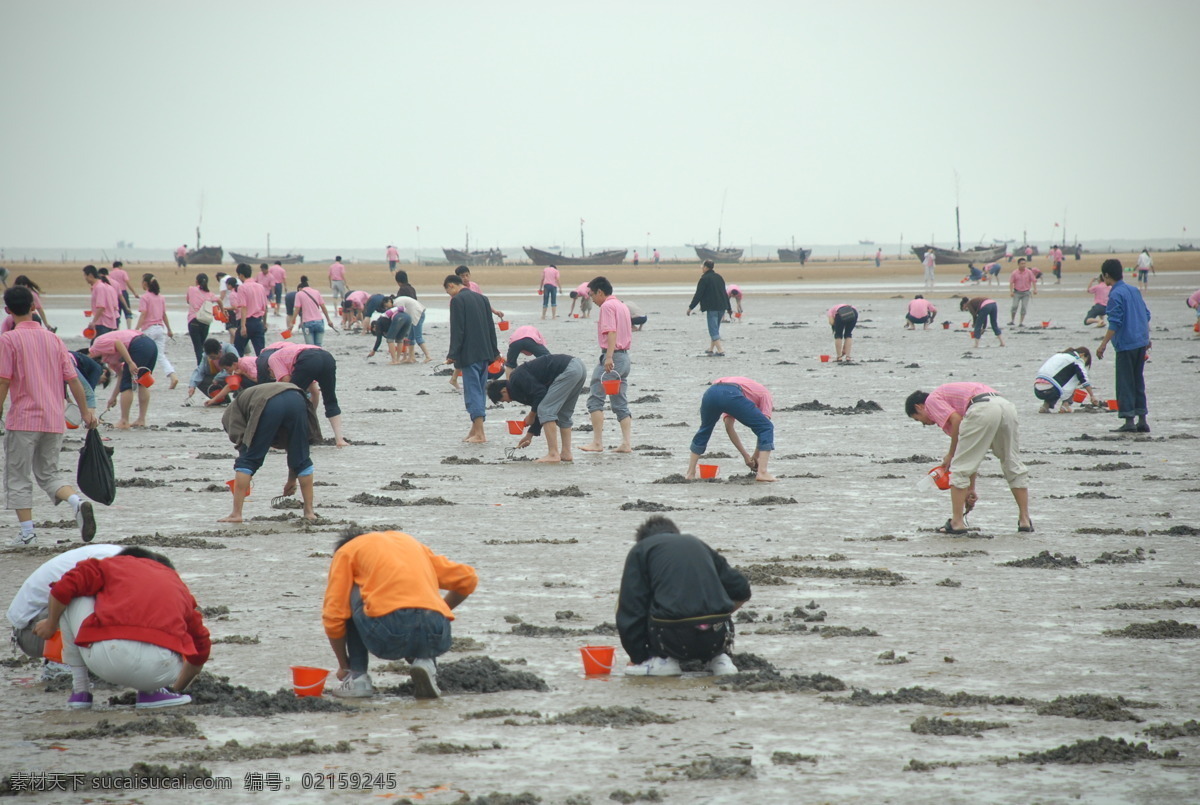 赶海拾贝 赶海挖贝 千人赶海 赶海的人 赶海去 日照赶海 国内旅游 旅游摄影