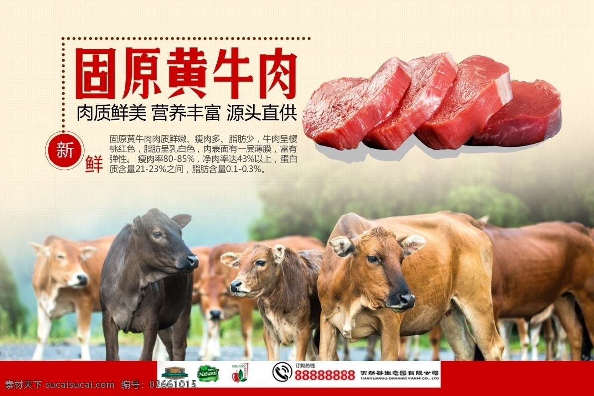 牛羊肉宣传 广告宣传 展板 分层可修改