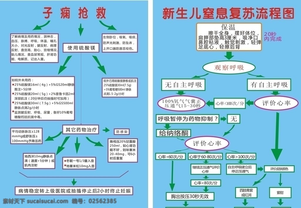 新生儿 复苏 流程图 子痫 抢救 流程 复苏流程图 子痫抢救 医院广告 矢量