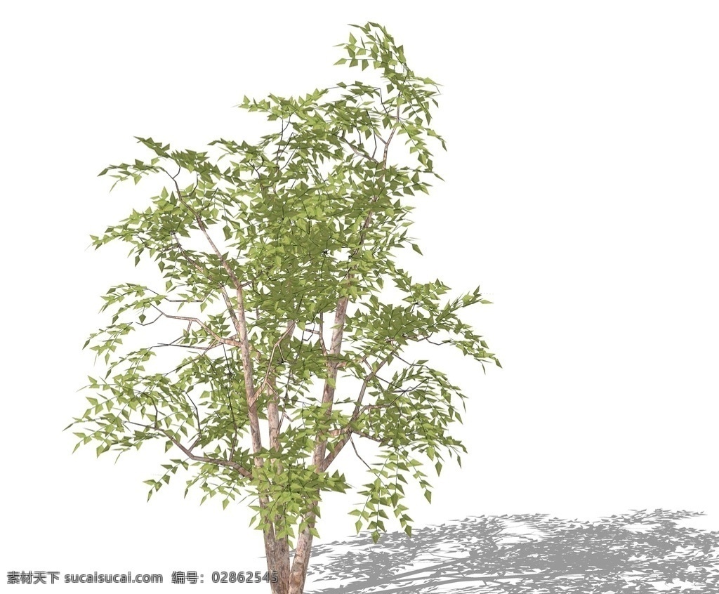 su植物模型 su植物素材 sketchup 植物 su树 3d植物模型 景观设计 园林设计 植物素材 su配景 skp植物 草图大师植物 景观 su模型 su3d树 su植物 环境设计 skp