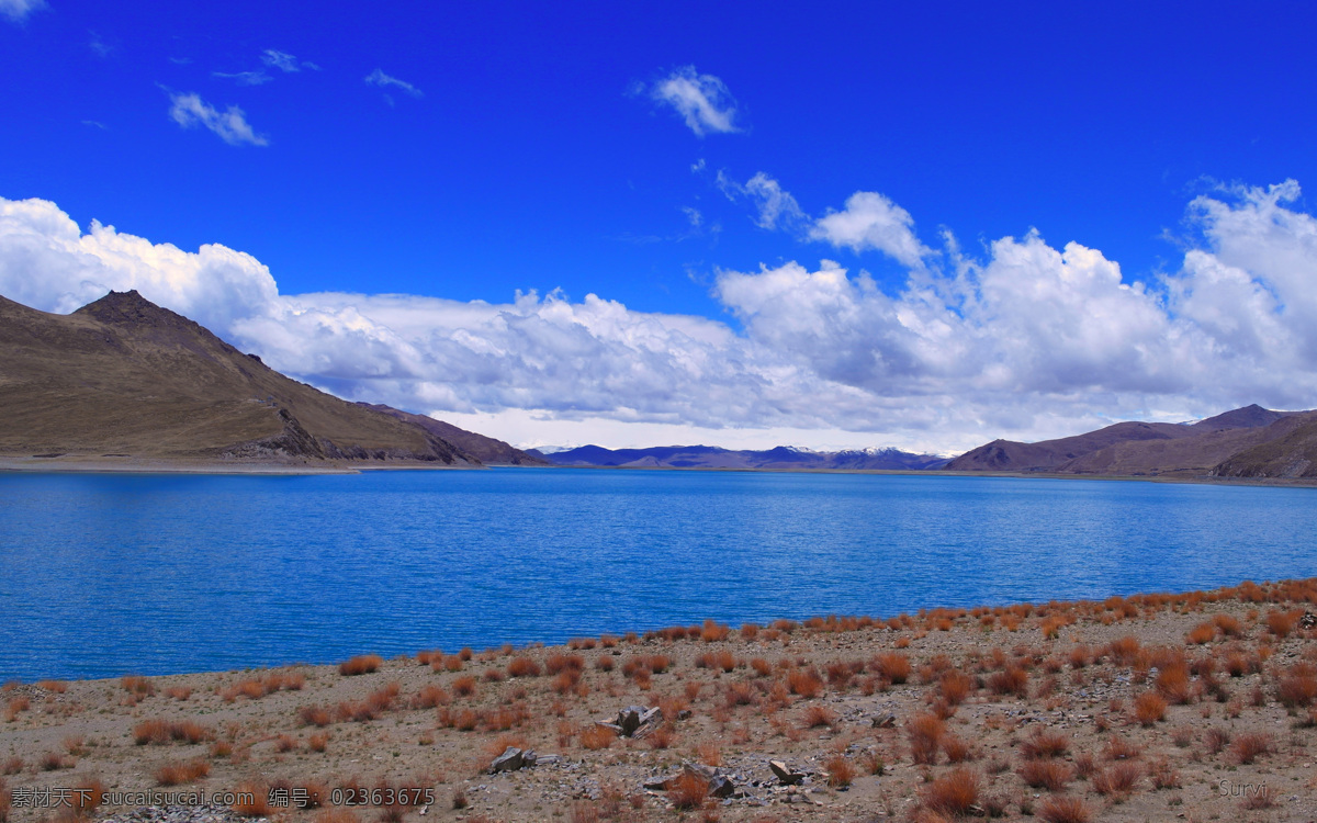 青藏高原 羊 卓雍 羊卓雍 大河 高原 青藏 辽阔 大气 群山 自然景观 山水风景 蓝色
