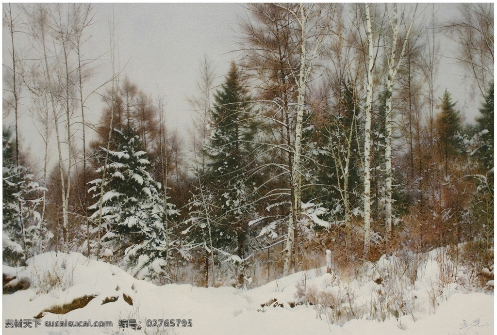 白山松林 陶世虎 水彩画 写实 雪景 树木 冬天 中国画 青松 松树 绘画书法 文化艺术
