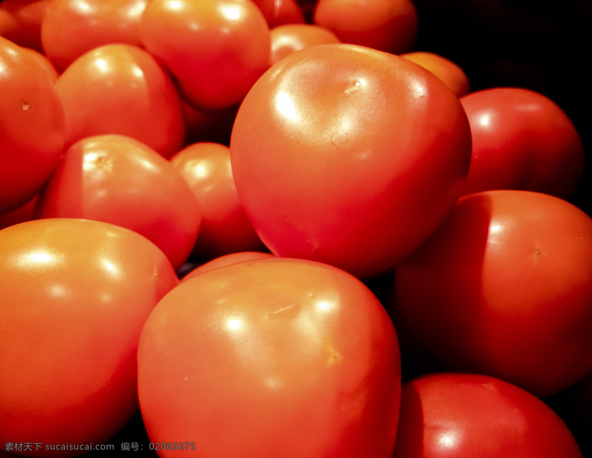 西红柿 蔬菜 照片 红色 鲜艳 光泽 新鲜 健康 食品 千库原创