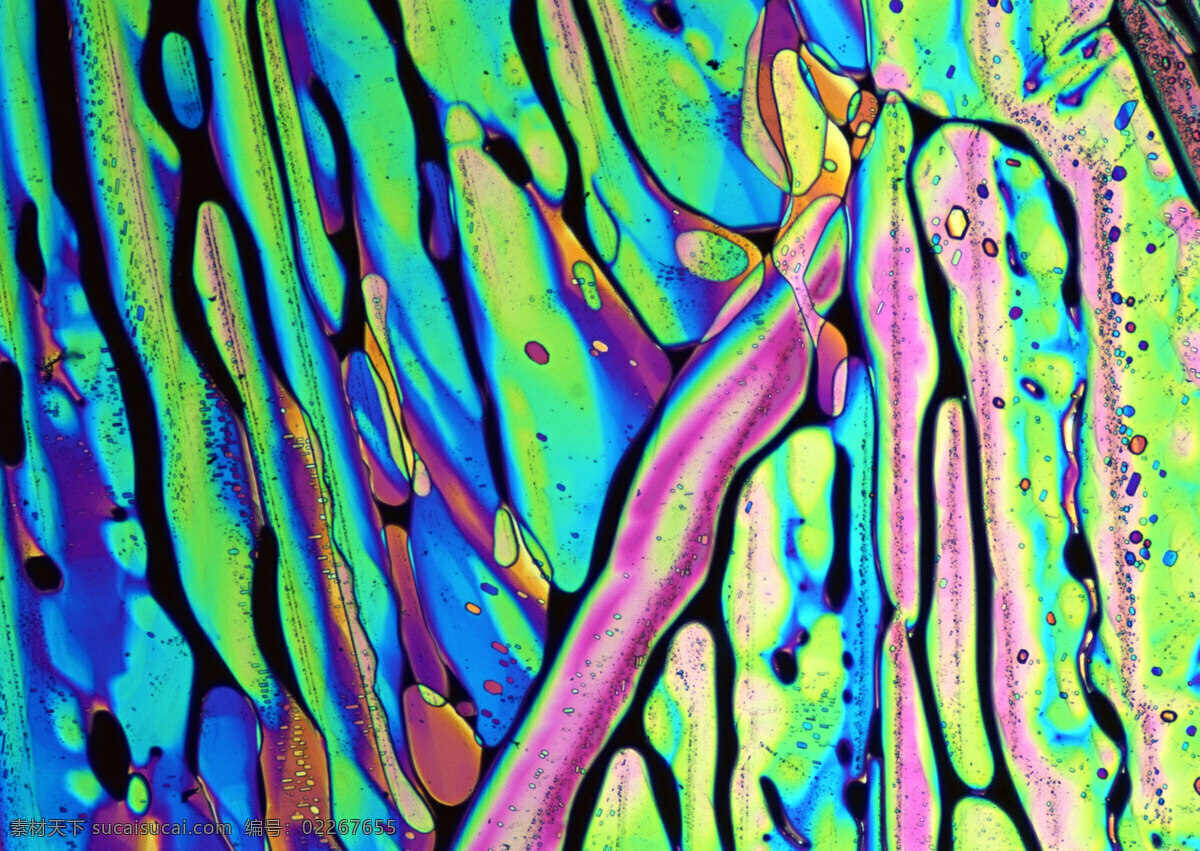 彩色 细胞 结晶体 细胞结晶图片 微观世界 细胞单元 结晶