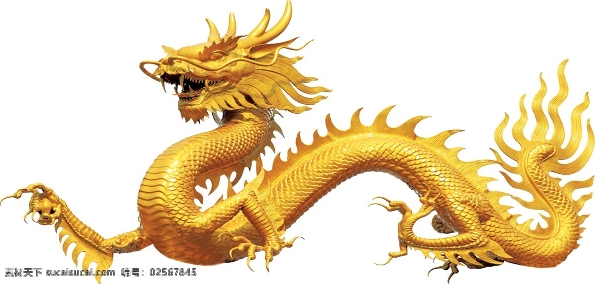 中国龙 金龙 龙 金属龙 金色 质感龙 立体龙 生物世界