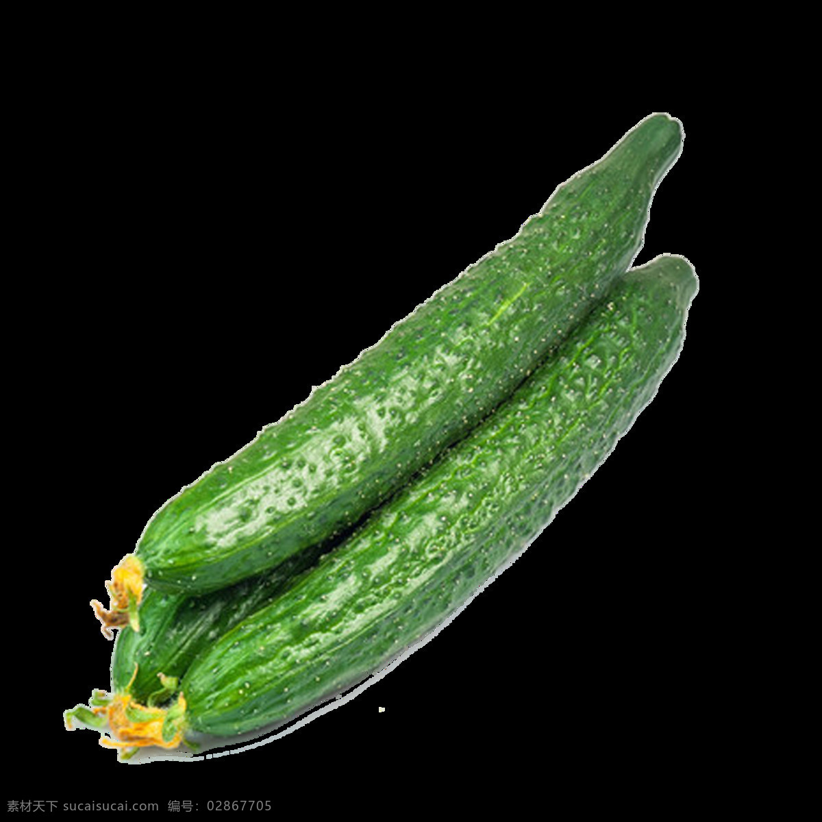 黄瓜 青瓜 蔬菜 食材