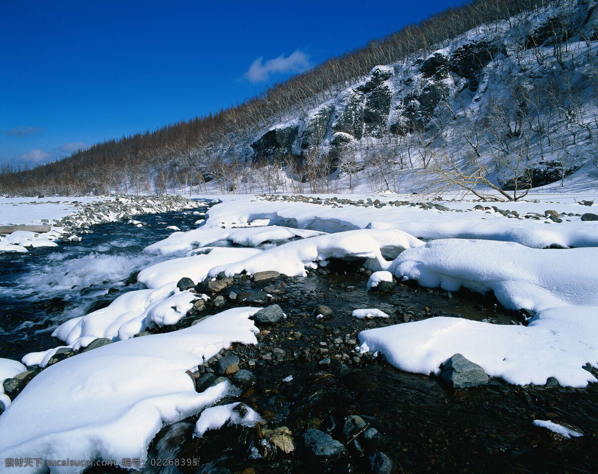 冰川 流淌 冰天 雪地 中 冬天 寒冬 雪山 白雪 山脉 河流 覆盖 河岸 树木丛 季节变化 摄影图库 自然风景 自然景观