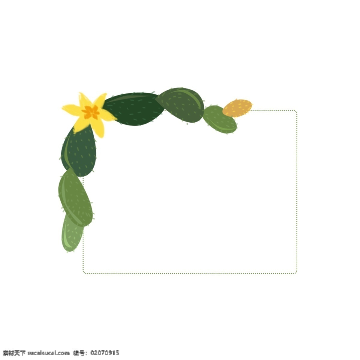 仙人掌 植物 绿色 插 画风 边框 花 小清新 植物边框 插画风