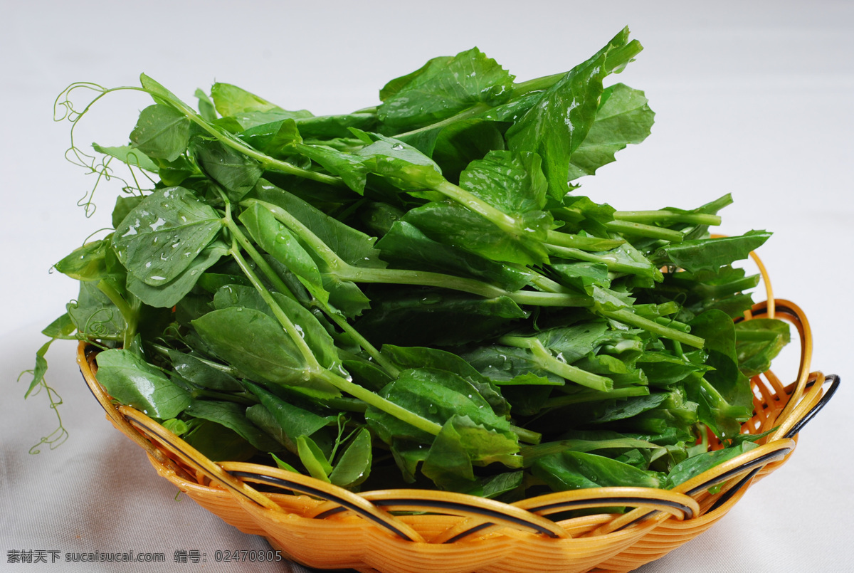 豌豆尖摄影 豌豆尖 豌豆尖图片 时蔬 蔬菜 青菜 火锅配菜 火锅青菜 生物世界
