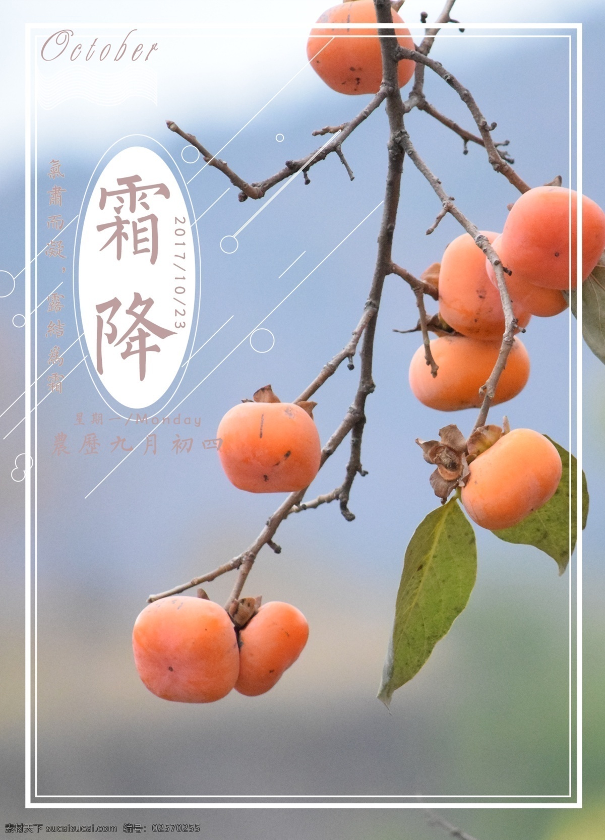 二十四节气 霜降 h5 24节气 柿子 十月 深秋 柿子黄了 收获 下霜 清新 朦胧 时令 季节 数字 柿子树