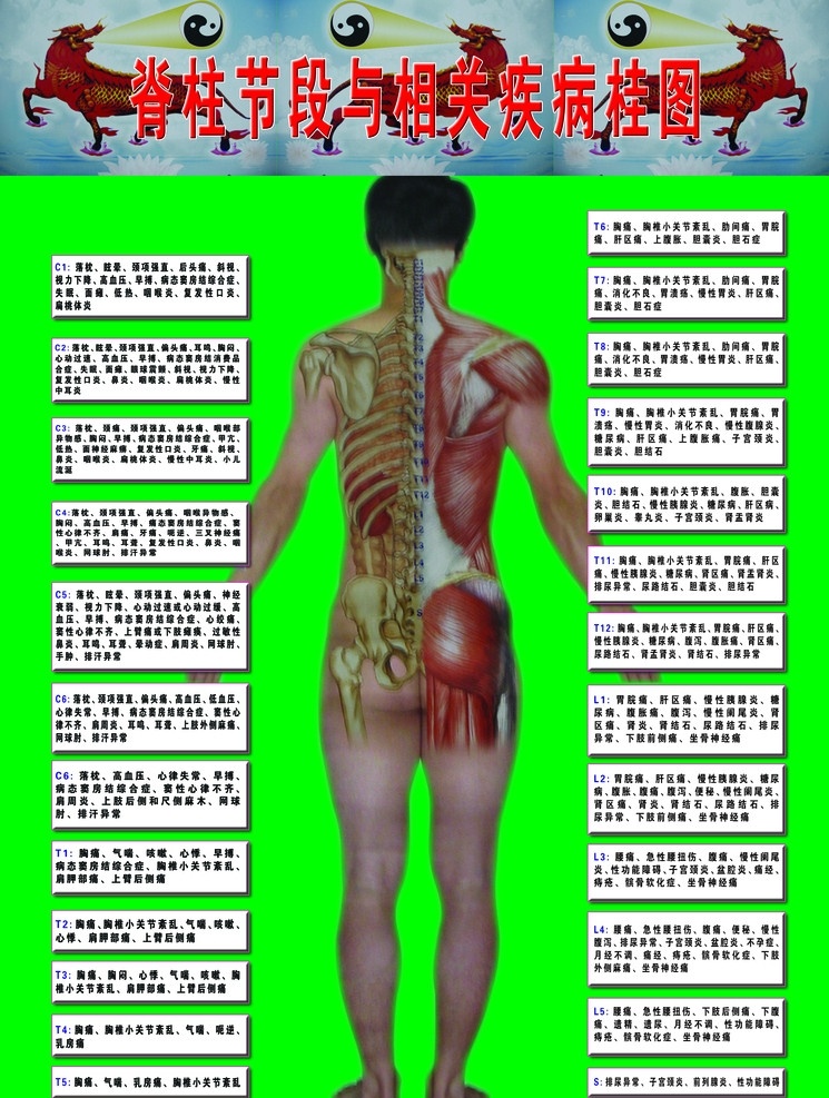 脊柱 节 段 相关 疾病 桂 图 落枕 眩晕 颈项强直 后头痛 斜视 视力下降 高血压 早搏 病态 窦房结 综合症 失眠 面瘫 低热 咽喉炎 复发性口炎 扁桃体炎 其他模版 广告设计模板 源文件