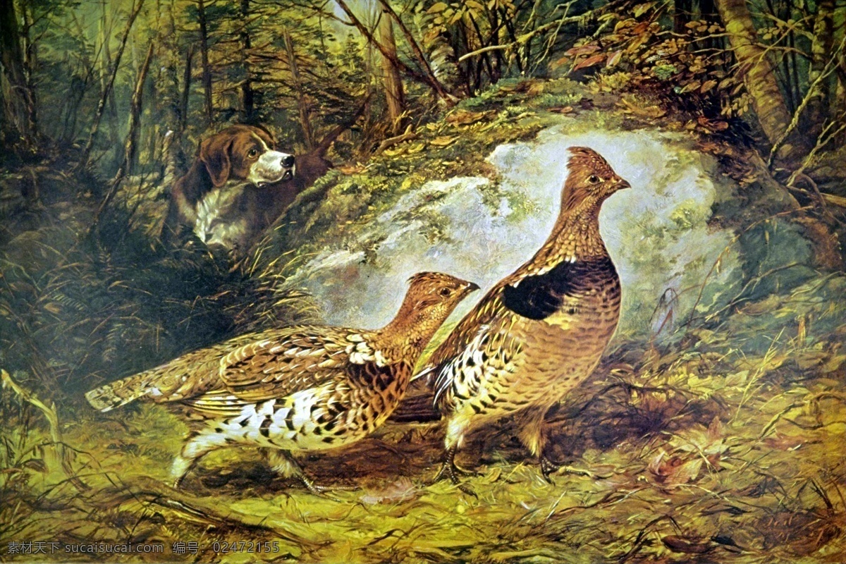 野鸡 动物 油画 西洋 美术 西洋美术 设计素材 动物专辑 油画世界 书画美术 黑色