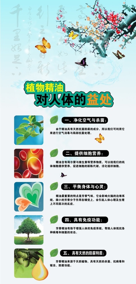 植物精油 植物 精油 梅花 蝴蝶 背景 渐变 细胞 展板模板 广告设计模板 源文件