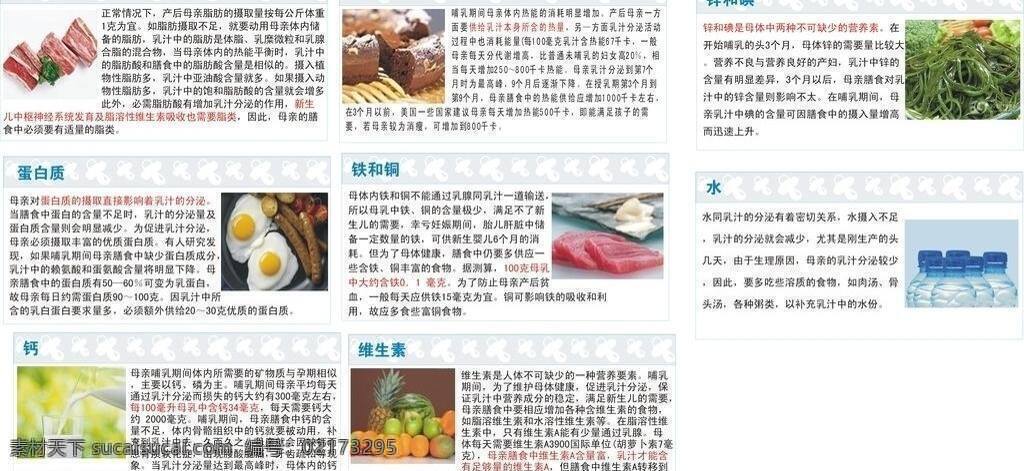 产后 营养知识 灯片 钙 肉类 维生素 写真 产后营养知识 水 蛋白质 铁和铜 热能 锌和碘 矢量