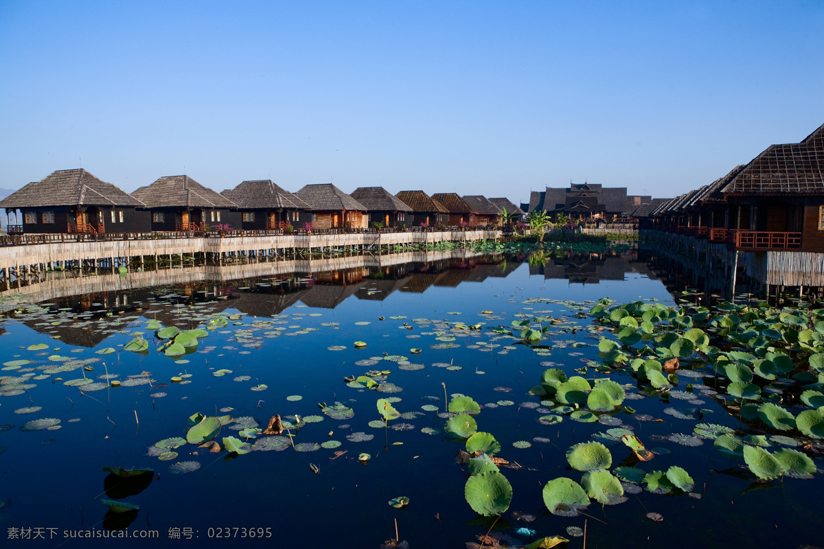 度假村 中 荷花 池 缅甸 掸邦 茵莱湖 水上度假村 水面 蓝天 国外旅游 旅游摄影