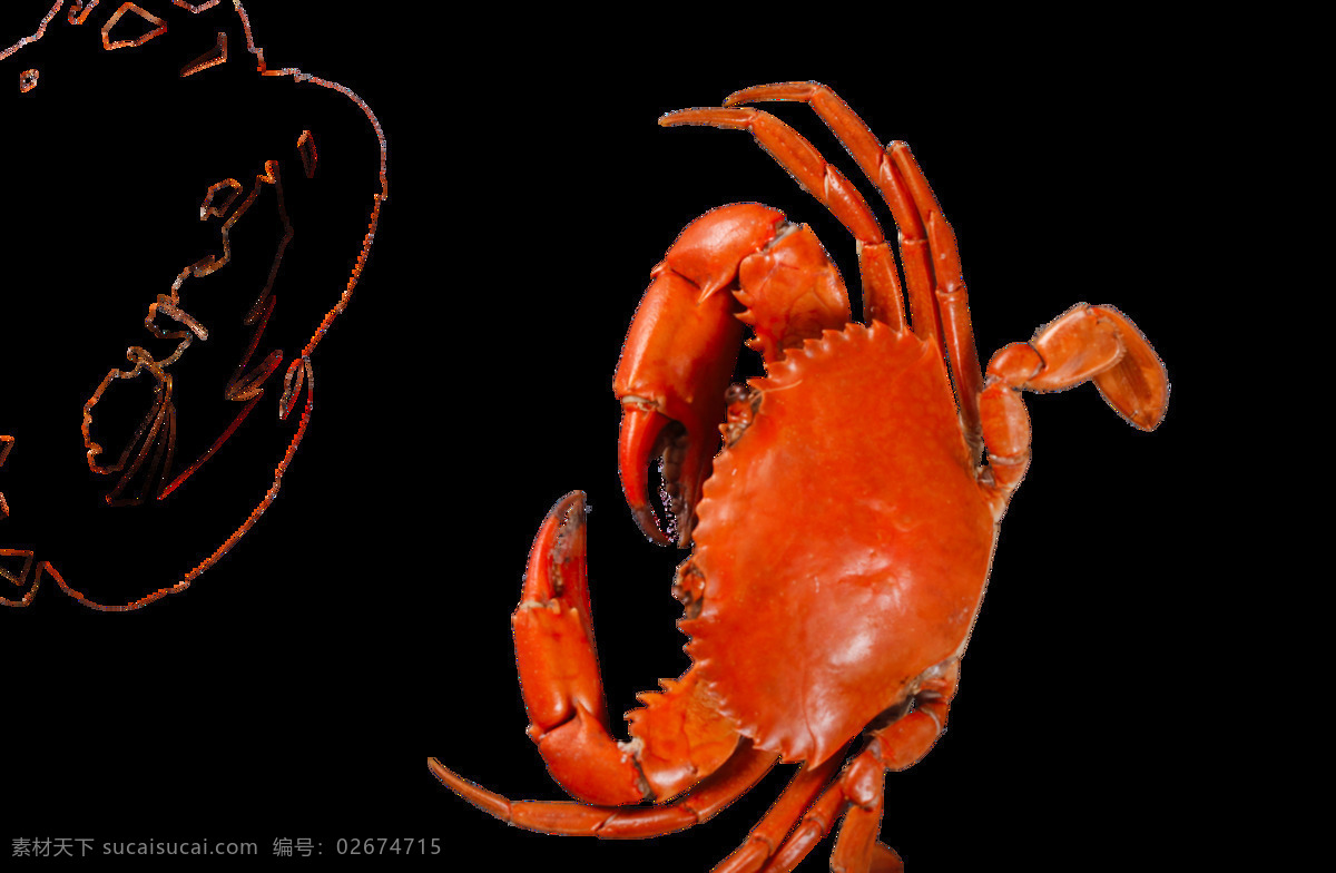 螃蟹 红 壳 烹饪 食 材 海报 红壳 食材 png格式