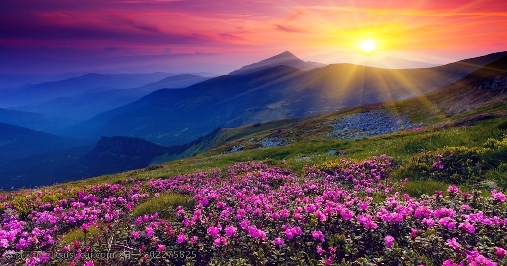 风景 壁纸 青山 大自然 阳光 花卉 大气 自然景观 自然风景