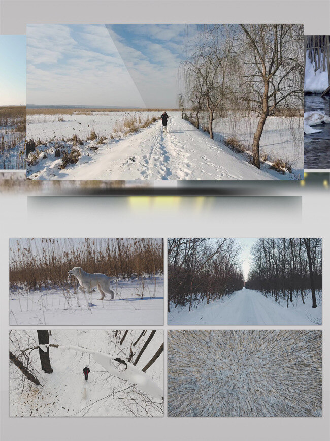 2k 大自然 雪地 里 徒步 漫步 雪景 冬天