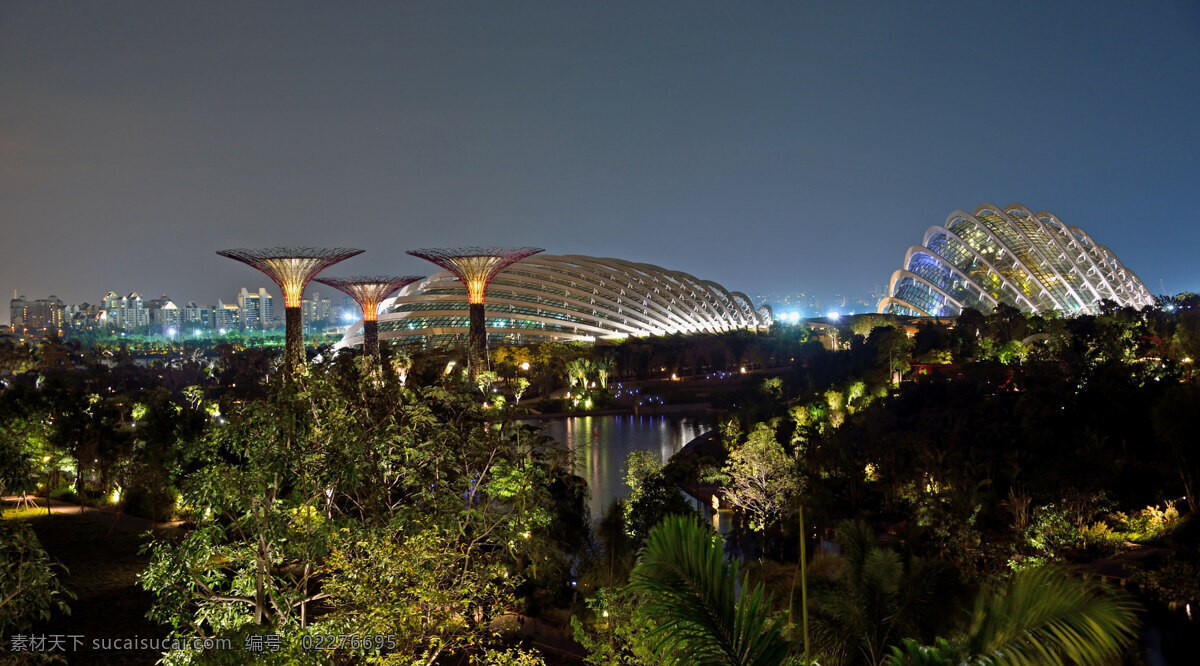 新加坡 滨海湾花园 夜景 滨海湾 花园 树林 各种植物 温室 擎天大树 河浜 灯光 夜空 景观 景点 旅游风光摄影 旅游摄影 国外旅游