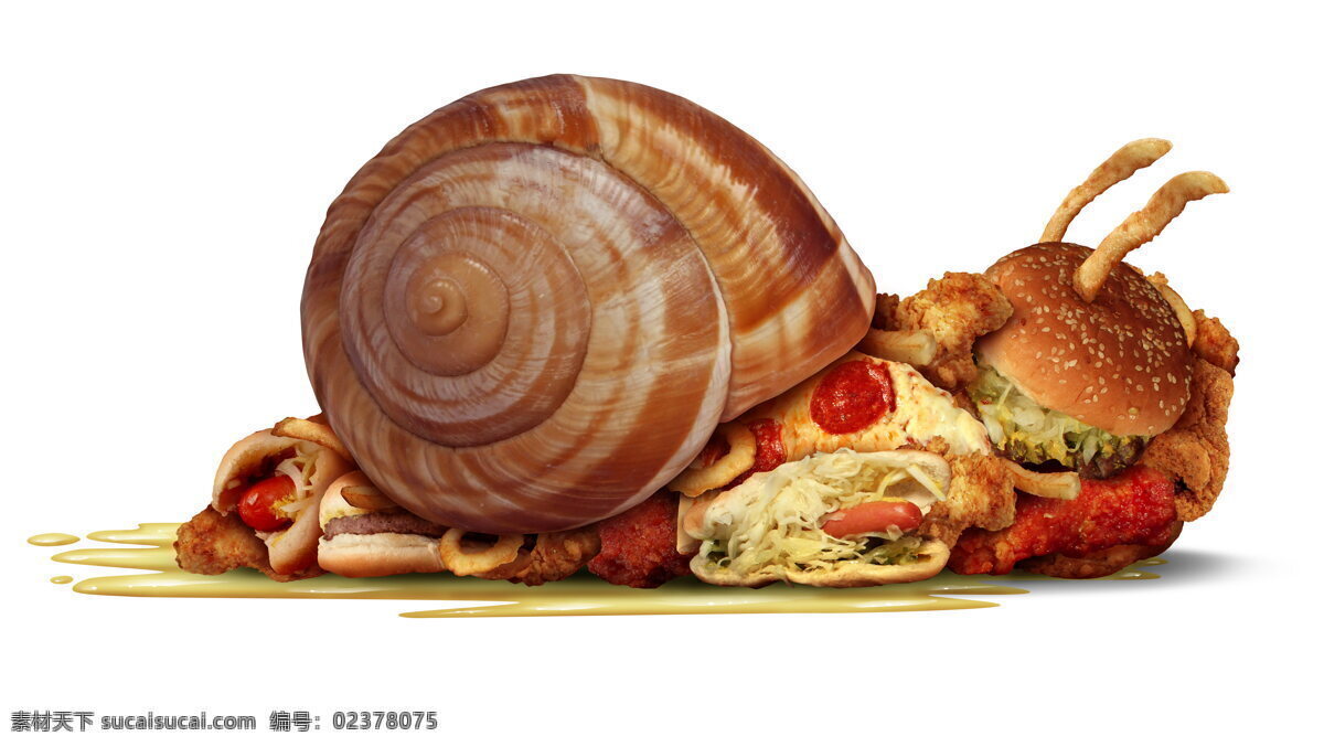 高清 另类 蜗牛 汉堡 汉堡包 蜗牛壳