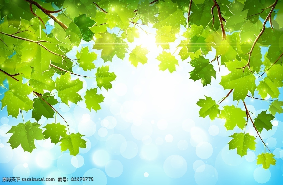 绿色 梧桐 树叶 矢量图 梦幻光斑 清新绿叶 梧桐树叶 绿色枝叶 明媚阳光