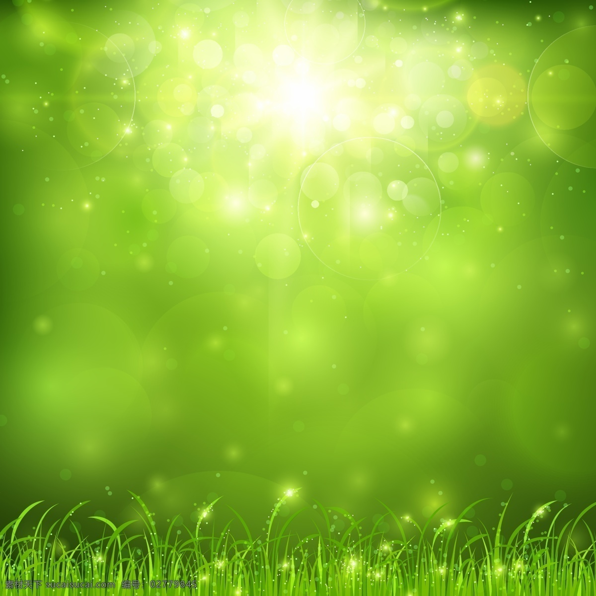 梦幻 绿色 草地 背景 矢量 太阳光线 斑点 草丛 光线 露水 露珠 梦幻海报背景