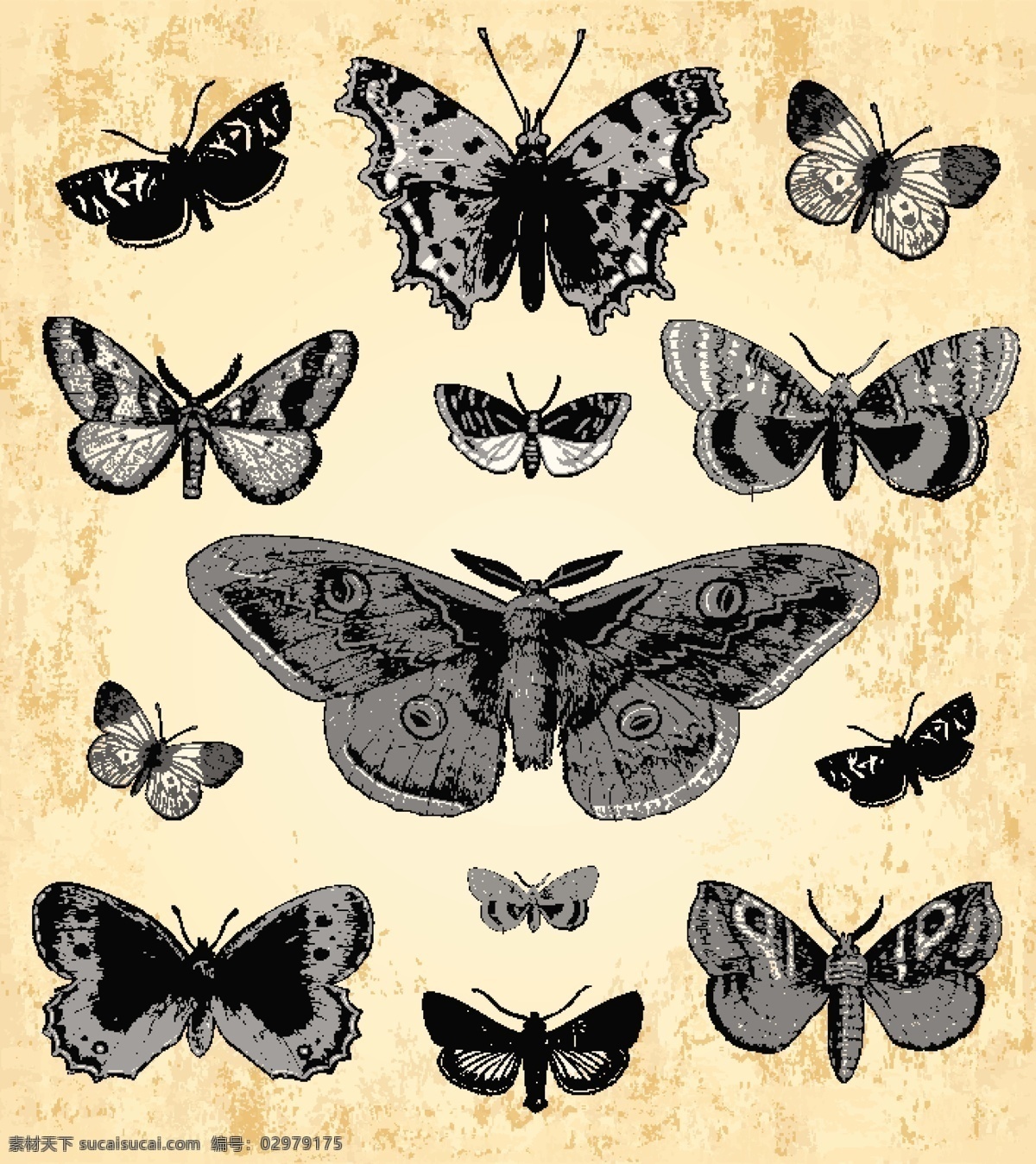 复古 蝴蝶 矢量 飞舞 昆虫 动物 黑白 标本 斑驳 做旧 插画 背景 海报 画册 矢量动物 生物世界