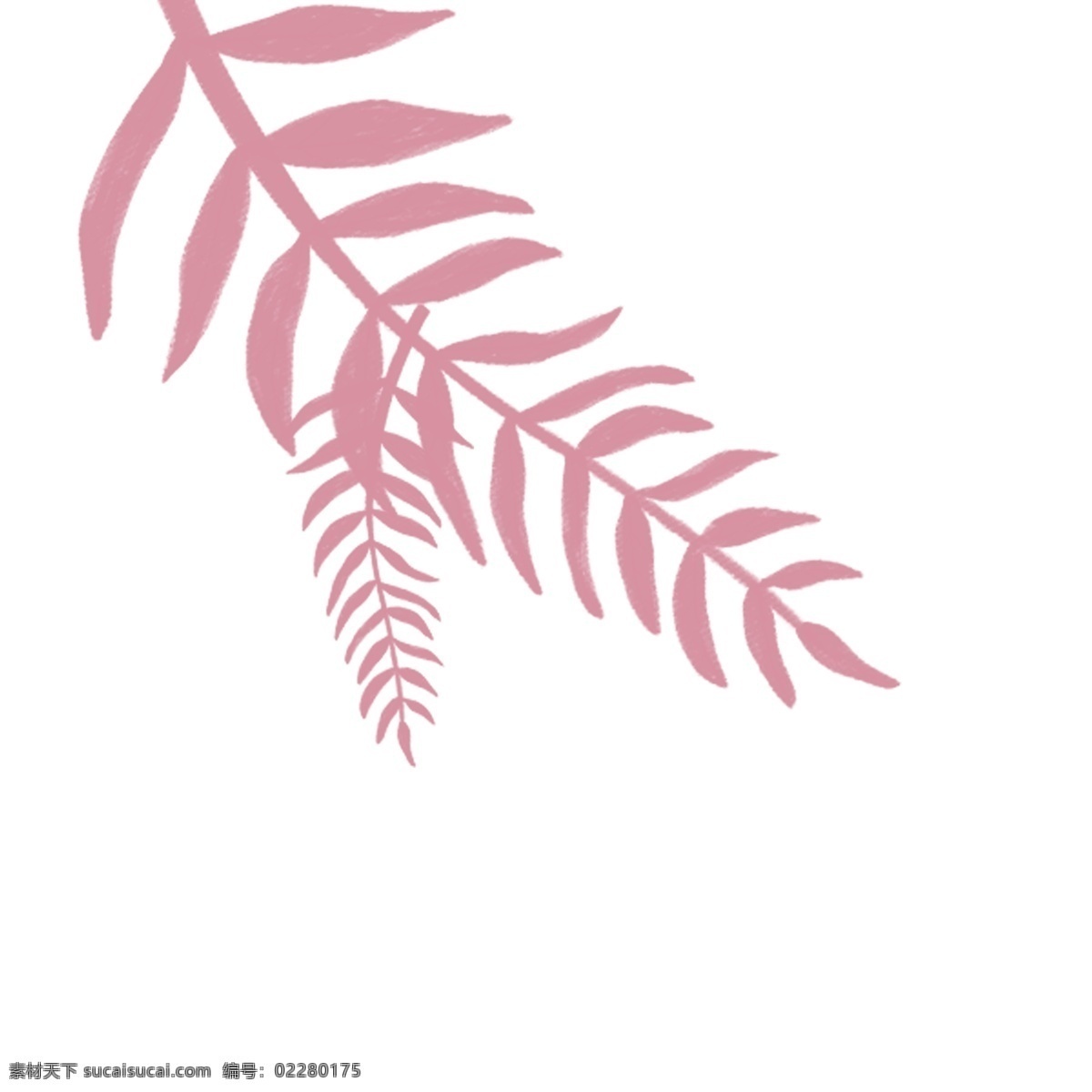 粉色 植物 叶子 粉色叶子 植物叶子 植物装饰 卡通插图 创意卡通下载 插图 png图下载