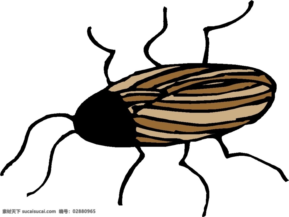 蟑螂 wmf 昆虫 生物世界 矢量图库 小强