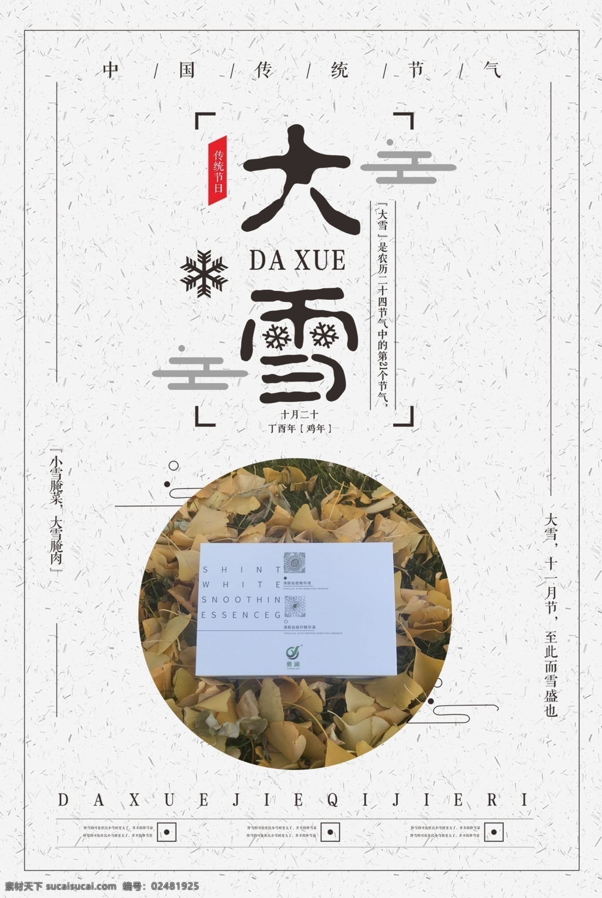 大雪 节气 白色 创意 海报