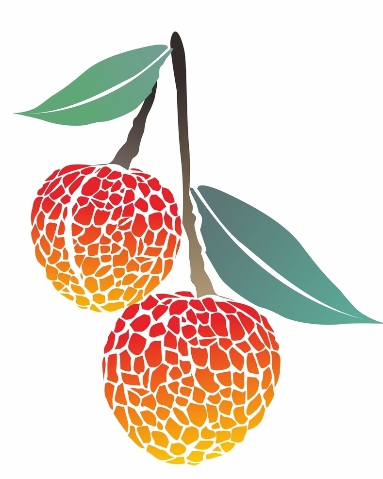 矢量荔枝 甜 束 荔枝 水果 热带 特写 新鲜 健康 成熟 甜点 红色 抗氧化 维生素 荔枝水果 卡通设计