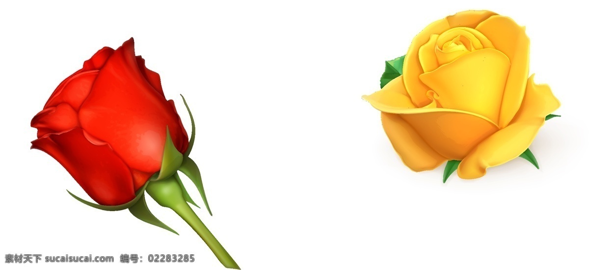 红色 玫瑰 黄色 玫瑰花 矢量 逼真花卉 红玫瑰 黄玫瑰 红色玫瑰花 黄色玫瑰花 生物世界 花草
