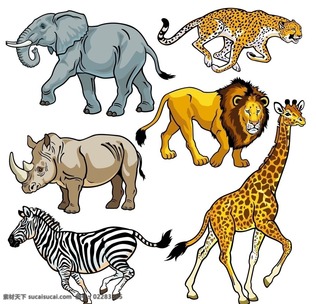 非洲野生动物 矢量动物 狮子 大象 长颈鹿 斑马 犀牛 豹子 野生动物 生物世界