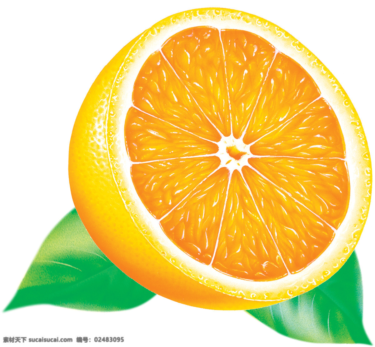 半个橙子 切开的橙 水果 橙子 橙叶 白色