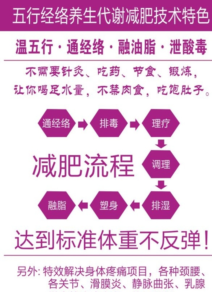 五行 经络 养生 代谢 减肥 减肥术 海报 五行经络养生 代谢减肥 减肥流程