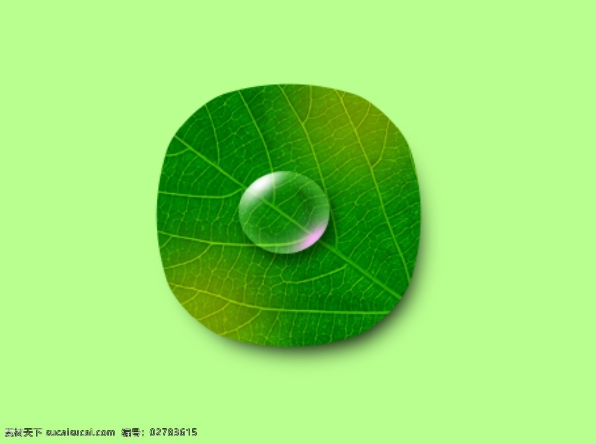 树叶 水滴 小清新 拟物 图标 写实 绿色